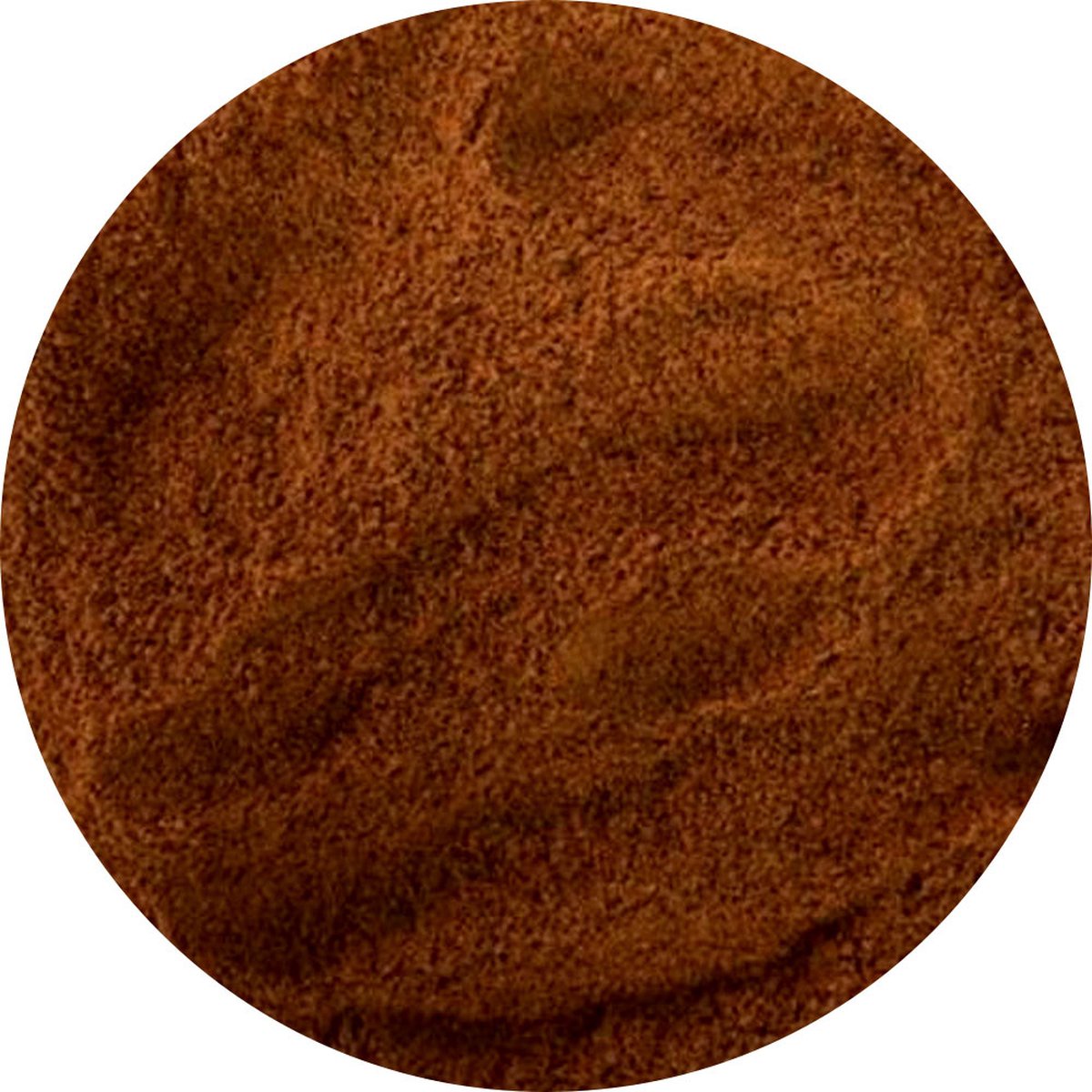 Goedkoopste Van Beekum Specerijen - Ketjap Poeder - 25 KG - Doos (bulk verpakking