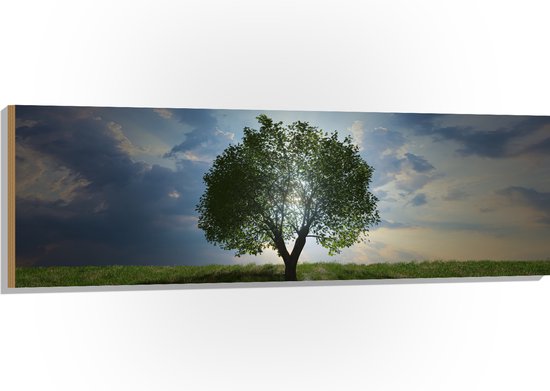 Hout - Landschap - Natuur - Boom - 150x50 cm - 9 mm dik - Foto op Hout (Met Ophangsysteem)
