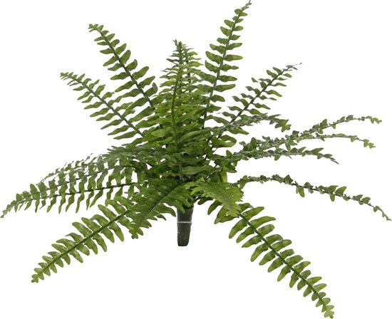 Boston varen - Nephrolepsis - kunstplant - zonder pot - 21 bladeren - 50cm - UV-bestendig