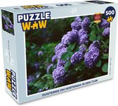 Puzzel Duisternis om hortensia in een tuin - Legpuzzel - Puzzel 500 stukjes