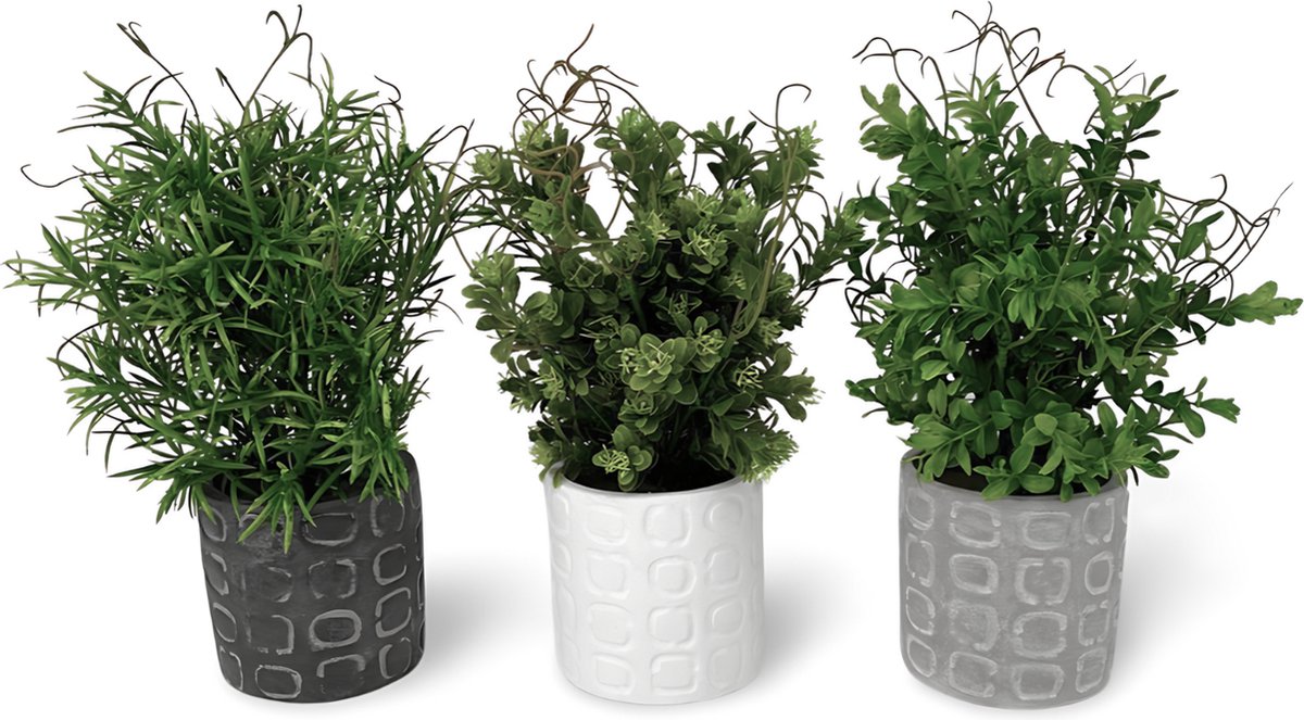 Dulaire Kunst Vetplanten In Pot Beton 3 st. - 29 cm groen