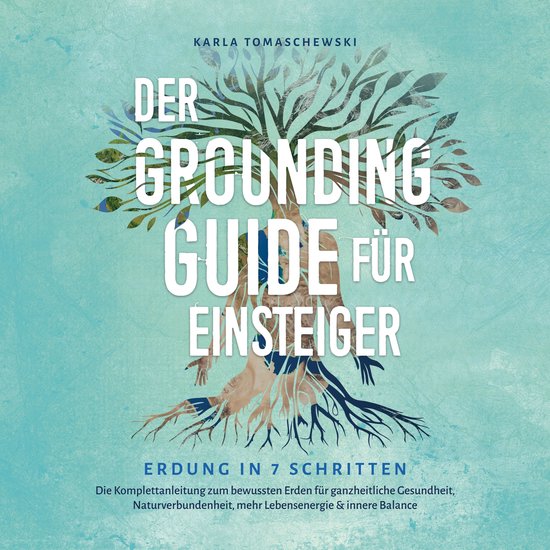 Der Grounding Guide für Einsteiger - Erdung in 7 Schritten: ... - cover