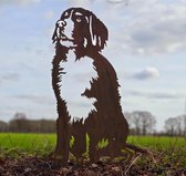 Berner Sennen - silhouet hond - cortenstaal - NL product -ware grootte