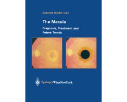 The Macula