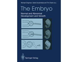 The Embryo