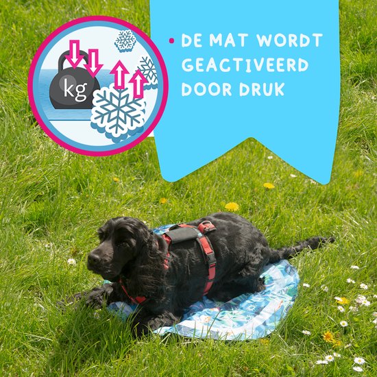Coolpets Premium Solid gel Cooling Mat XL 70x120cm