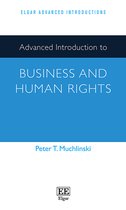 Elgar Advanced Introductions series- Advanced Introduction to Business and Human Rights