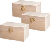 Rayher hobby Houten kistje/box met sluiting en deksel - 3x - 14 x 8 x 7 cm - Sieraden/spulletjes/sleutels - kleine kistjes