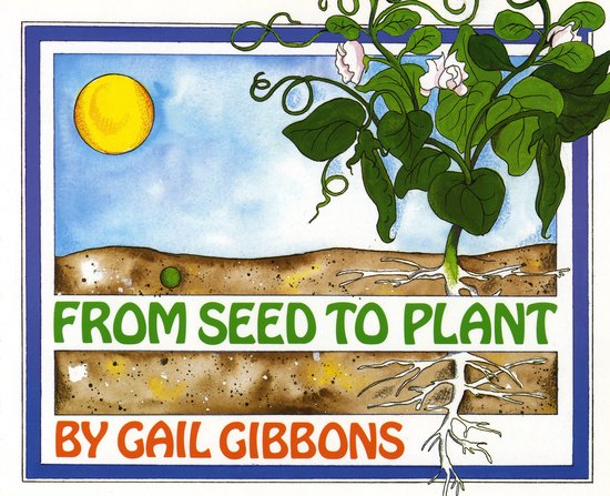 From Seed To Plant - cover