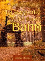 La sorgente del fiume Bann