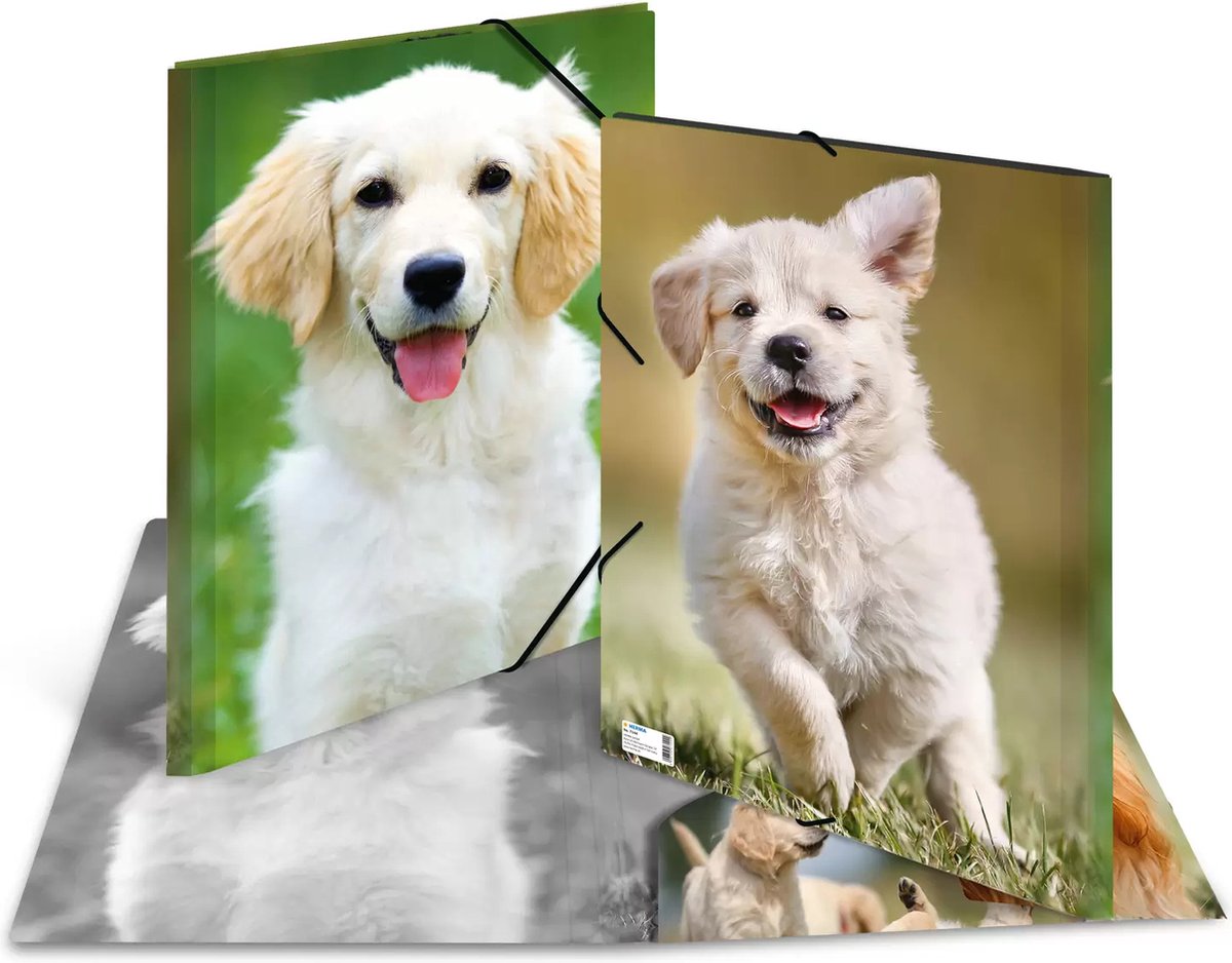 Sammelmappe A3 Hunde Polypropylen