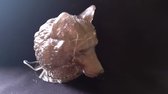 starwolf, beeldje wolvenkop met ledverlichting erin, bruin, geschenk, verzameling, decoratie