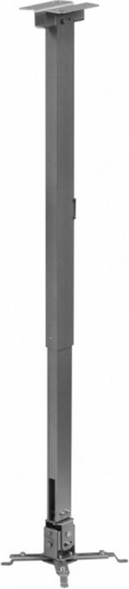 Reflecta 23059 projector beugel Muur Zilver