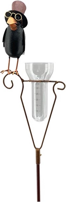 Foto: Regenmeter op stok met een raaf met hoed 21x9x152 cm tuinsteker metaal