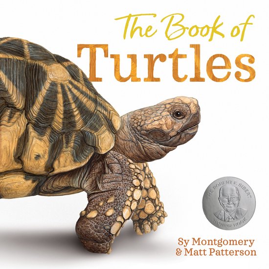 Meet the Species1-The Book of Turtles
