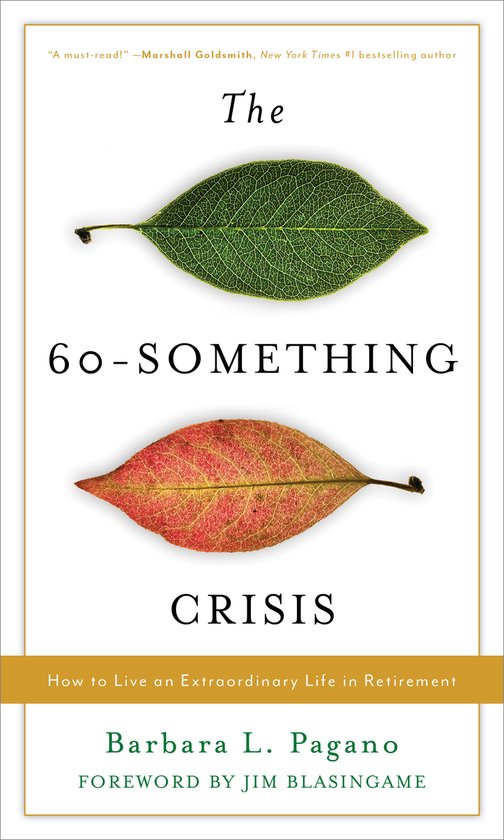 The 60-Something Crisis - cover