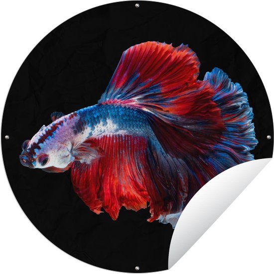Garden Circle Fish - Staart - Zwart - 60x60 cm - Affiche de Jardin Ronde - Extérieur