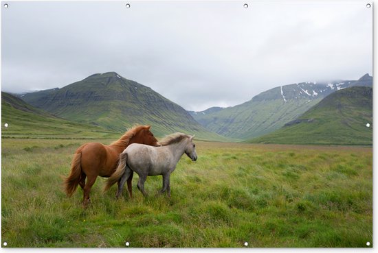 Paarden - Gras - Bergen - Tuinposter