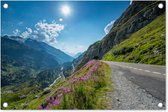 Tuindecoratie Zwitserland - Alpen - Natuur - 60x40 cm - Tuinposter - Tuindoek - Buitenposter