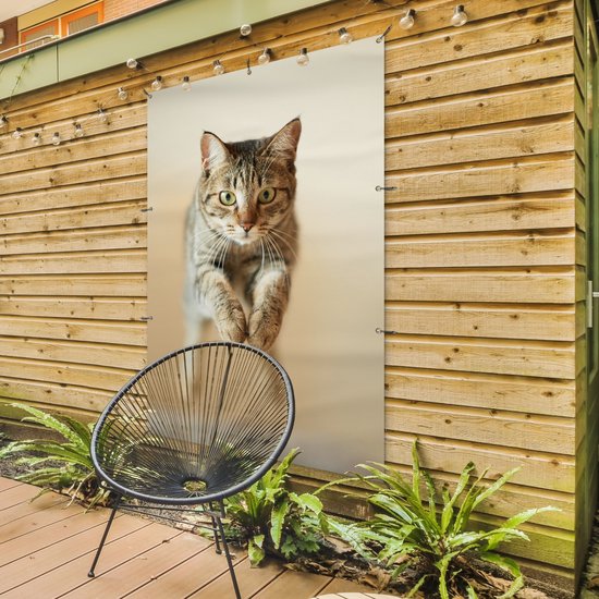 Décoration murale Chat sautant dans les airs - 120x180 cm - Affiche jardin