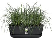 Elho Greenville Easy Balcony 52 - Balkonbak met Ophanging - 100% Gerecycled Plastic - L52 x B21.2 x H19.4 cm - Living black