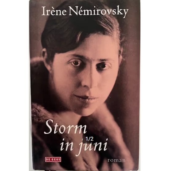 9789051089417 - Iréne Némirovsky - Storm in juni
