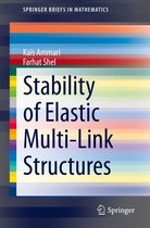 SpringerBriefs in Mathematics - Stability of Elastic Multi-Link Structures