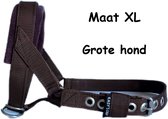 Gentle leader - Bruin - Maat XL - Bruine voering - Gevoerd - Antitrek hoofdhalster hond - Halster hond - Anti trek hond - Training band