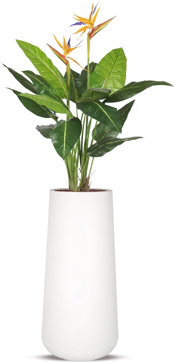 HTT Decorations Kunstplant Strelitzia in Lucas H195 cm Wit