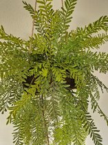 Kunst Mos Kokodama | 100cm - Kunst hangplant - Namaak kokodama - Kunstplanten voor binnen - Kunst hangplant mos