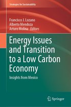 Strategies for Sustainability - Energy Issues and Transition to a Low Carbon Economy
