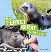 This or That Pets - Is a Ferret or a Rat the Pet for Me?