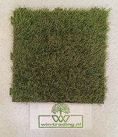 Bol.com Kunstgrastegels - terrastegel kunstgras - Balkontegel - kunstgras tegel - grastegels - kliktegels - 30 x30 cm - 9 stuks ... aanbieding
