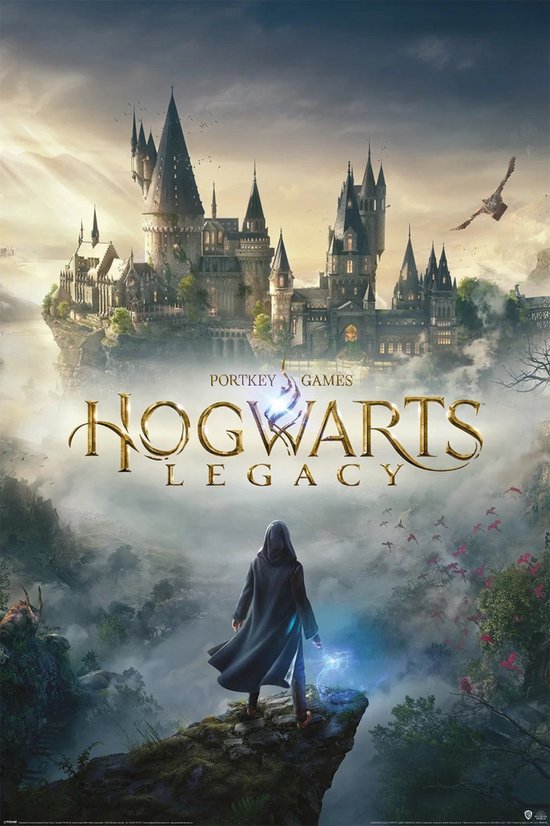 Hole in the Wall Hogwarts Legacy Maxi Poster -Wizarding World Universe (Diversen) Nieuw