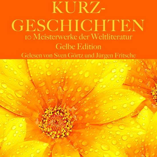 Kurzgeschichten: Zehn Meisterwerke der Weltliteratur - cover