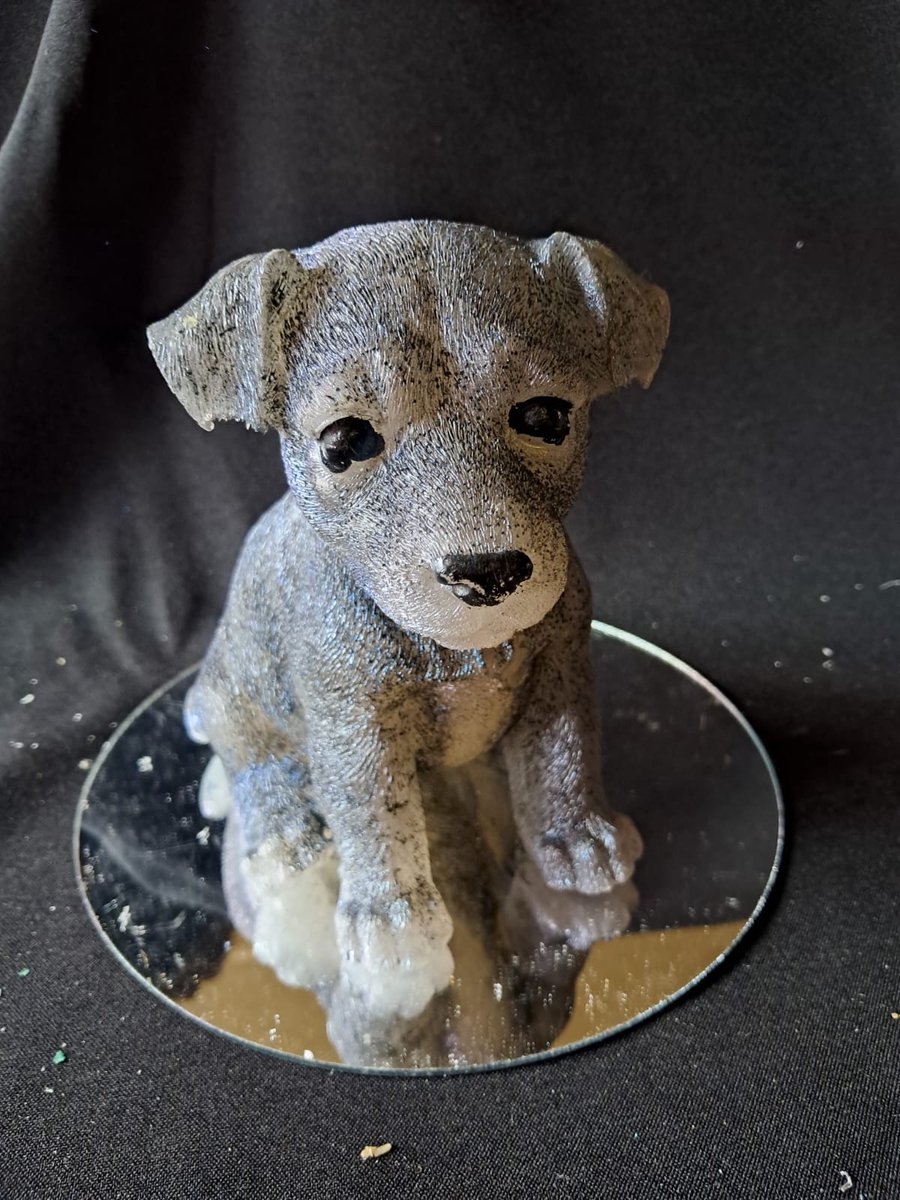 starwolf, beeld jack russell, zwart/wit, geschenk, decoratie