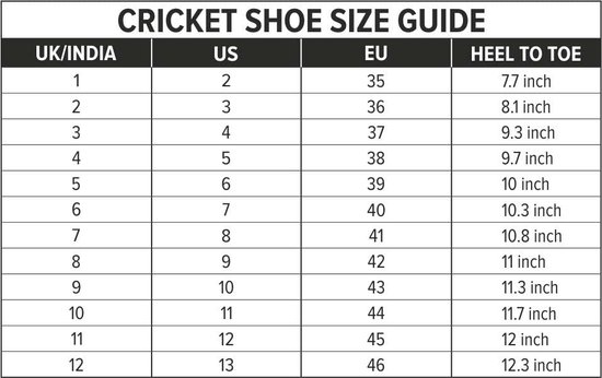 DSC Belter Cricket Shoes | Sea Green | For Boys and Men | Eva Sock Liner | Lightweight Outsole | Durable | 9 UK, 10 US, 43 EU