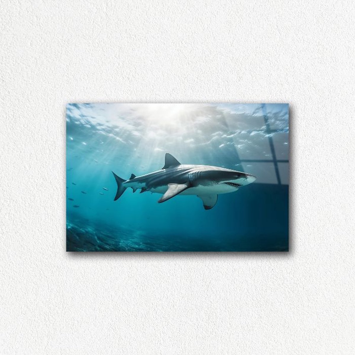 Indoorart - Glasschilderij haai 120x80 CM - Afbeelding op plexiglas - Inclusief montagemateriaal
