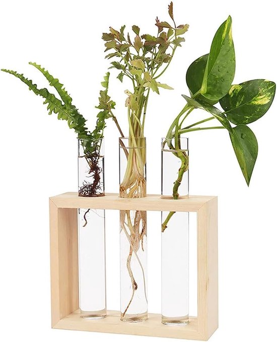 Houten Stekstation met 3 Glazen Reageerbuizen - Ophangbaar Planten Stekken - Inclusief Ophangsysteem en Schoonmaakborsteltje - Duurzaam Hout - Perfect voor Interieur Decoratie