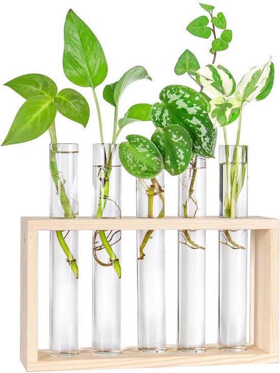 Houten Stekstation met 5 Glazen Reageerbuizen - Ophangbaar Planten Stekken - Inclusief Ophangsysteem en Schoonmaakborsteltje - Duurzaam Hout - Perfect voor Interieur Decoratie