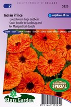Jardin Sluis - Prince Indien Marigold, fleur double