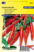 Sluis Garden - Peper Spaanse  Cayenne Long Slim