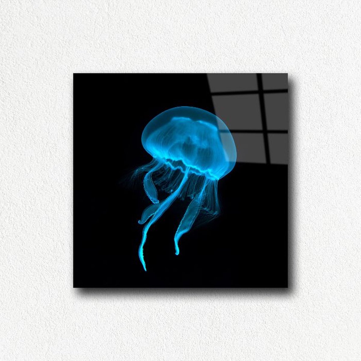 Myfinto Indoorart - Glasschilderij kwal 100x100 CM - Afbeelding op plexiglas - Inclusief montagemateriaal zwart