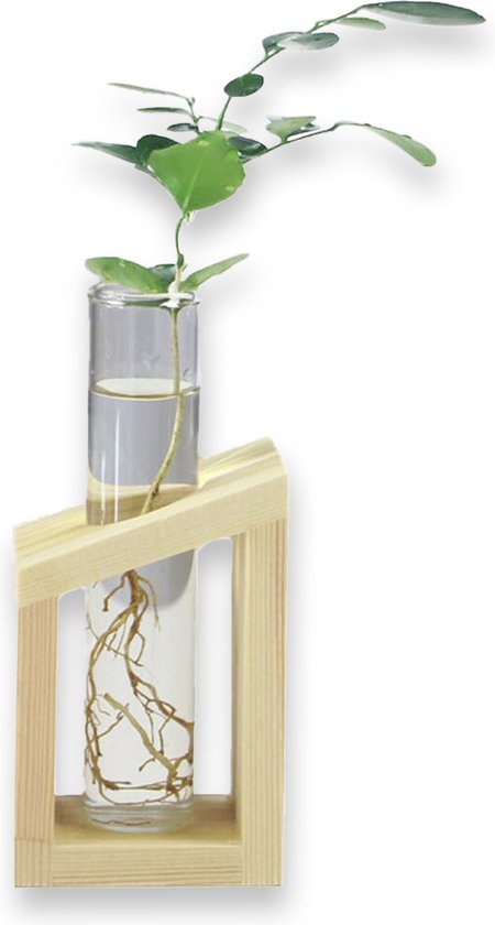 Houten Stekstation met een glazen reageerbuis - Planten Stekken - Duurzaam Hout - Perfect voor Interieur Decoratie