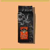 KIRIBIRI COFFEE BEANS - GUATEMALA SHB - SINGLE ORIGIN - 100% ARABICA -1KG