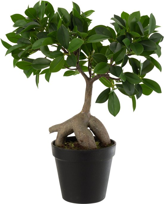 J-Line plant Chinese Vijg Ficus Boom In Pot - kunststof - groen/zwart - small