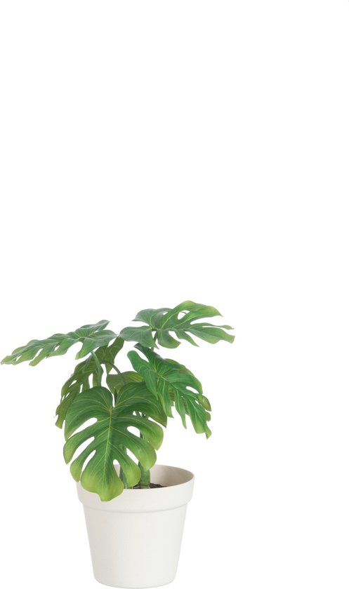 J-Line plant Blad Philo In Pot - kunststof - groen/wit - medium