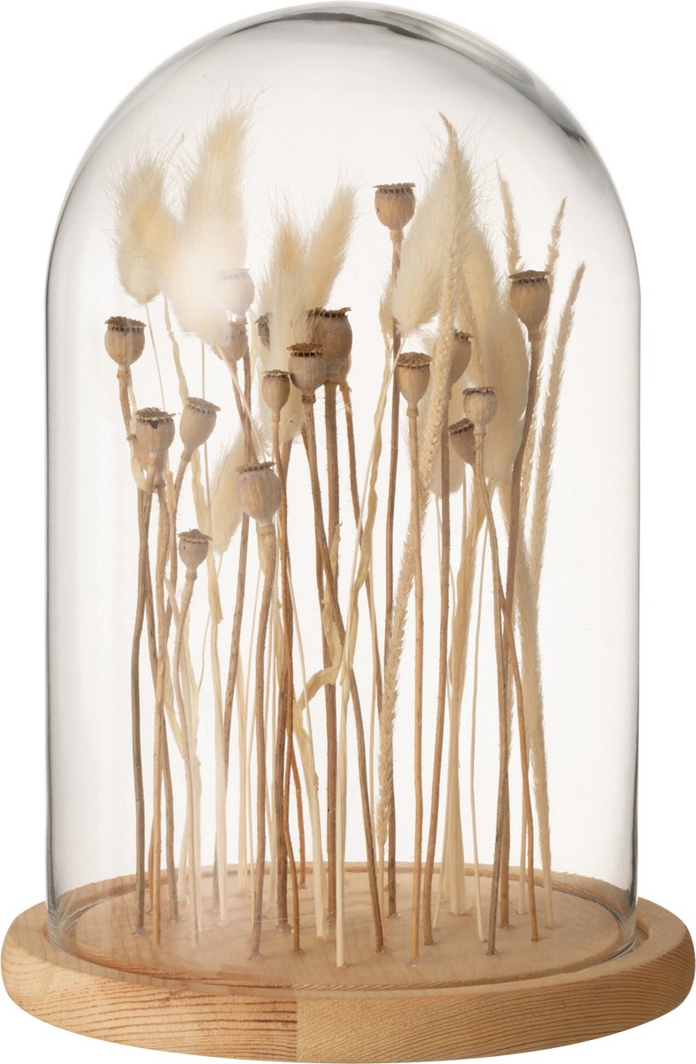 J-Line decoratie Stolp Droogbloemen - glas/hout - ecru/bruin - small