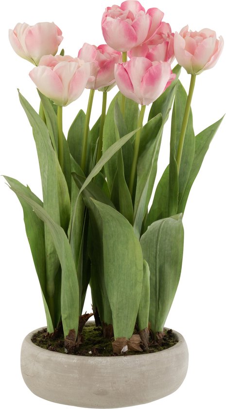 J-Line plant Tulpen In Pot - cement/kunststof - grijs/roze/groen