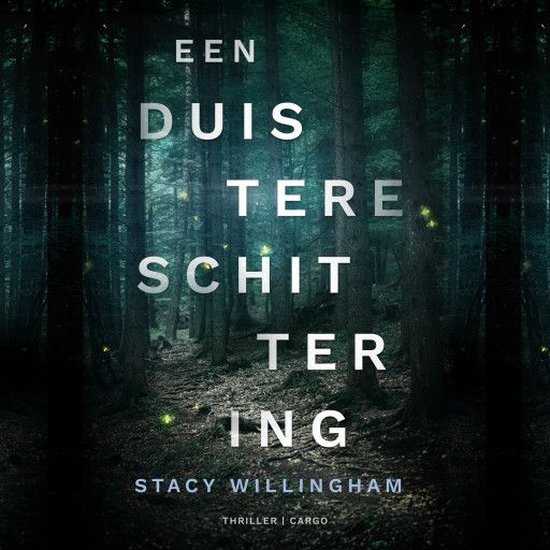 Een duistere schittering - cover